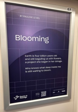 Blooming on TTC